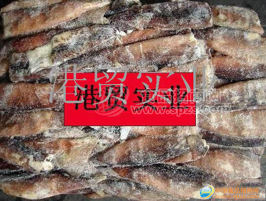 供應(yīng)魷魚(yú)