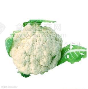 供应白花菜