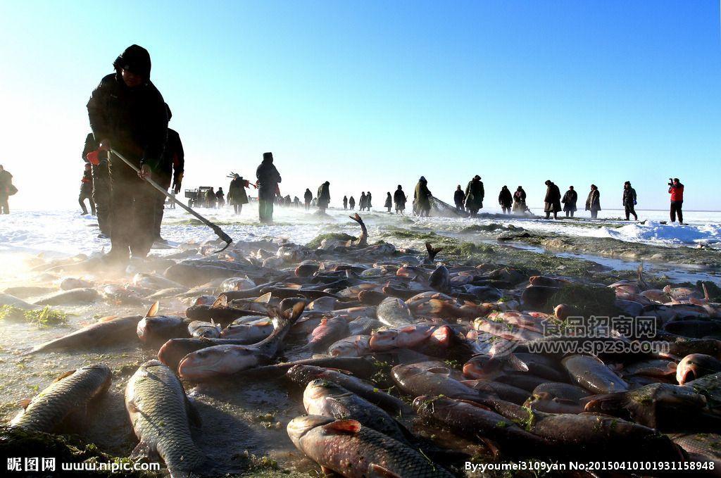 查干湖魚產品經銷北京海淀區(qū)