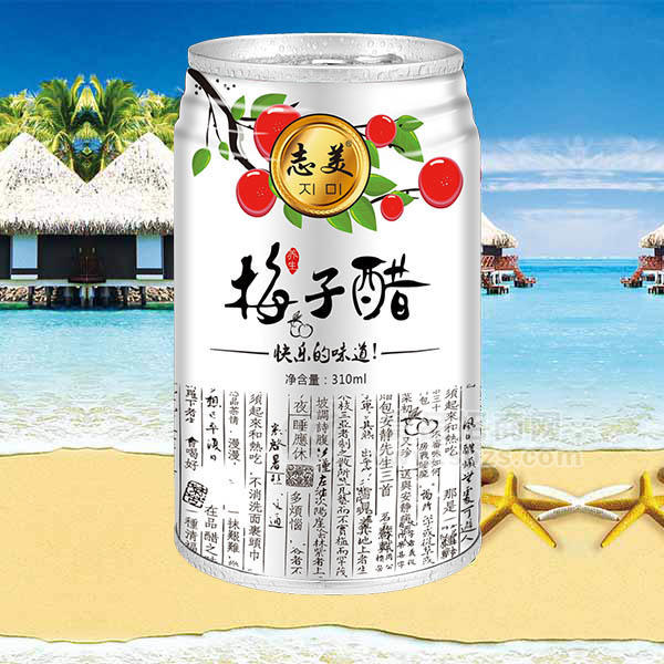 志美梅子醋果汁飲料310ml