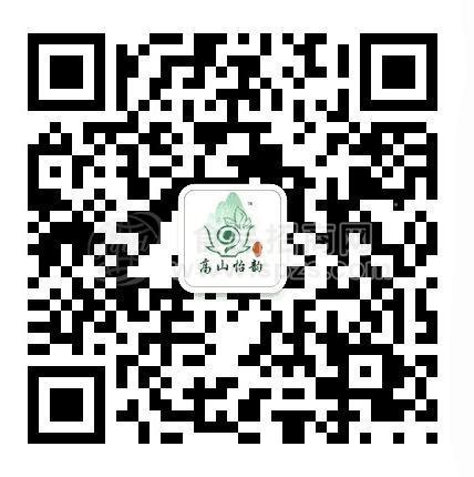 尖峰神叶青钱柳茶
