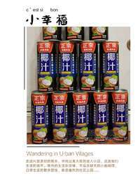 南国椰林椰汁 植物蛋白饮料