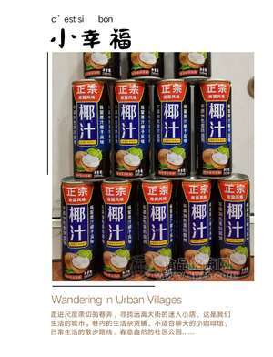 南国椰林椰汁 植物蛋白饮料