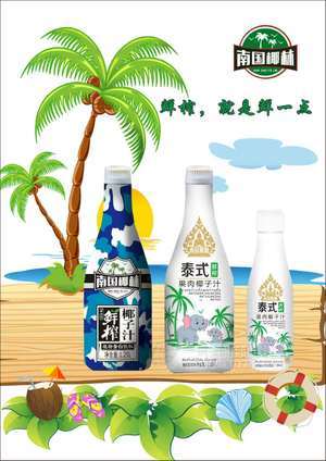 南国椰林椰汁 植物蛋白饮料