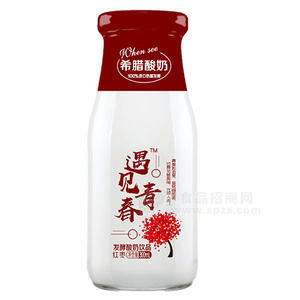 希臘酸奶 紅棗發(fā)酵型酸奶飲品300ml