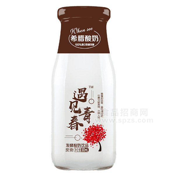 希臘酸奶 炭燒發(fā)酵型酸奶飲品300ml