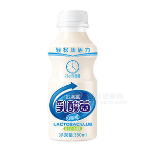 金滿籯乳酸菌飲品350ml