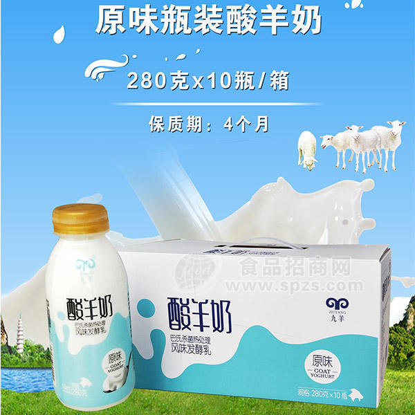 九羊原味瓶装酸羊奶乳饮料 280gx10瓶