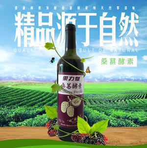 果力健桑葚酵素桑葚发酵饮料招商代理