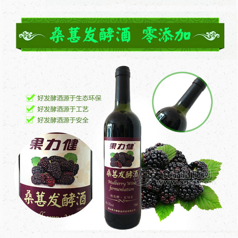 ·果力健桑葚酒桑葚发酵酒招商代理 