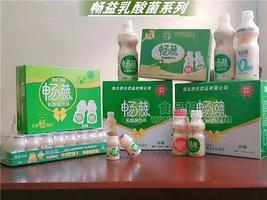 暢益100%乳酸菌系列/胃動(dòng)力乳酸菌系列