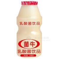 菌牛乳酸菌飲品108ml