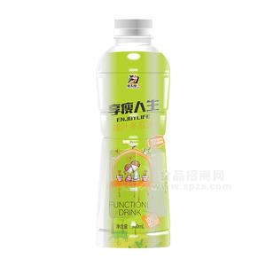 功夫印象荷葉冬瓜汁500ml