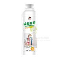 功夫印象蜂蜜枇杷汁500ml