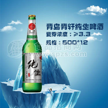 农村乡镇市场大瓶便宜啤酒代理