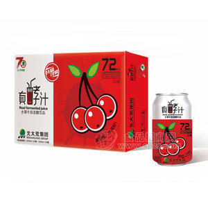 北大荒綠源真酵汁水果牛奶發(fā)酵飲品山楂味310mlx24罐