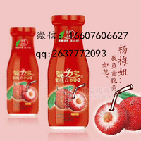 320g智力多杨梅汁
