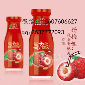320g智力多杨梅汁