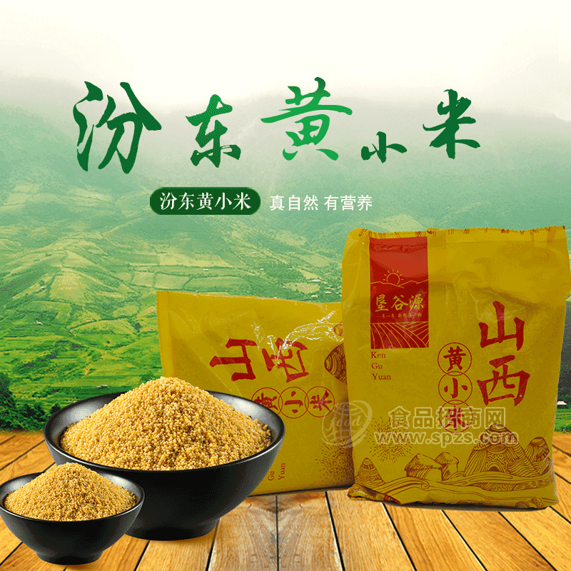 富硒食品 雜糧 農(nóng)副產(chǎn)品 山西特產(chǎn) 汾東黃小米招商