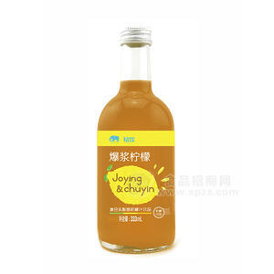 初飲爆漿檸檬 復(fù)合乳酸菌檸檬汁飲品333ml