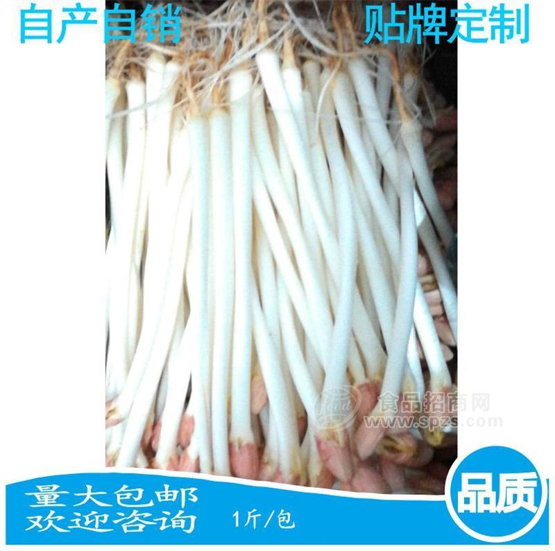 新鲜花生芽苗菜炒肉花生芽苗菜特色菜直销花生芽酒店花生芽苗菜