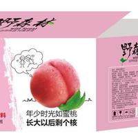 野森林水蜜桃汁果汁饮料