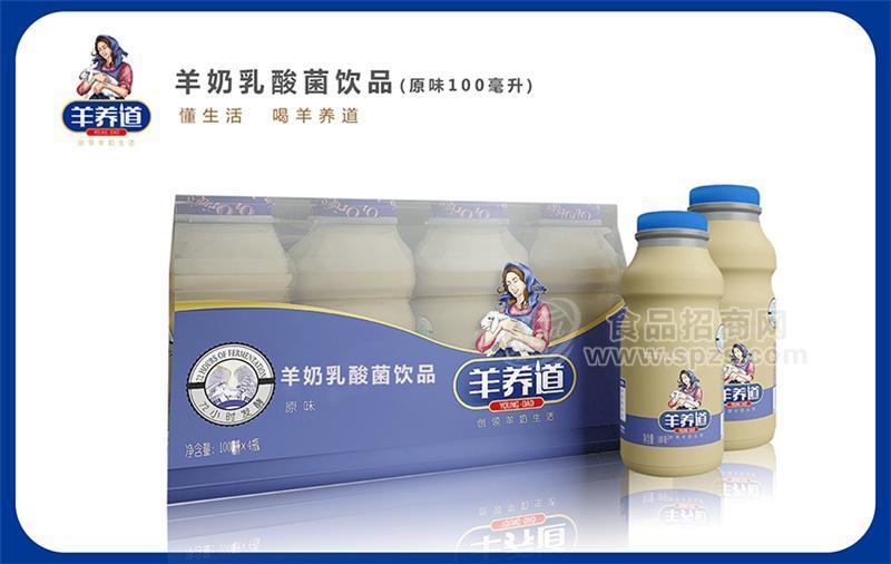 乳酸菌羊奶原味