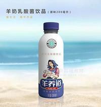 羊奶乳酸菌