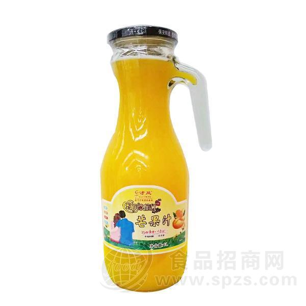 才凤芒果汁饮料 果汁饮料1L