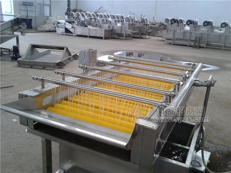 毛辊式水流清洗机 食品级清洗流水线设备可定制厂家直销
