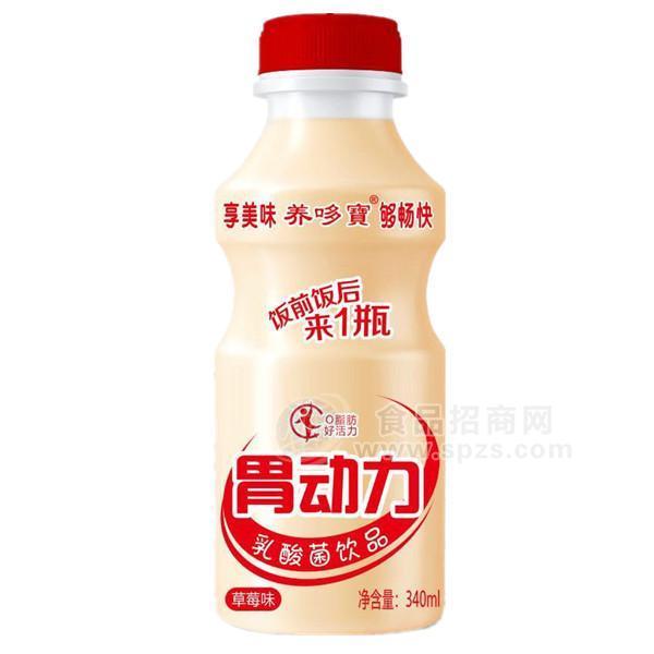·养哆宝 胃动力 草莓味  乳酸菌饮料 340mL 