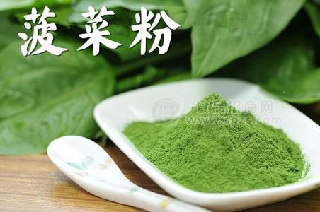 菠菜粉 脱水菠菜粉 厂家直销琦轩食品