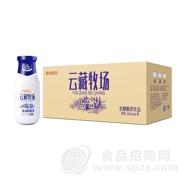 云藏牧场酸奶（蓝莓味）300ml