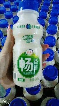 乳酸菌飲品