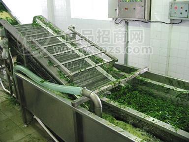 卷心菜清洗漂烫流水线