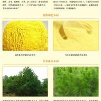 松花粉