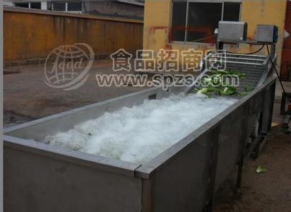 草莓清洗及加工生产流水线