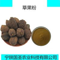 宁陕国圣草果粉食品添加