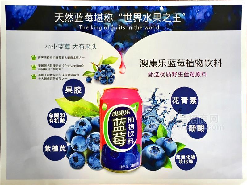 澳康樂 藍莓植物飲料 優(yōu)質(zhì)藍莓原料