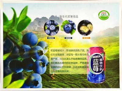 澳康樂 藍莓植物飲料 新生代漿果佳品