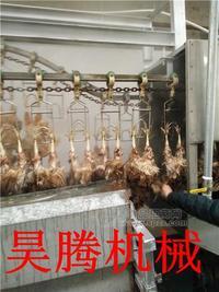 宰鸡流水线安装商