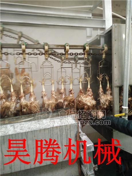 宰鸡流水线安装商