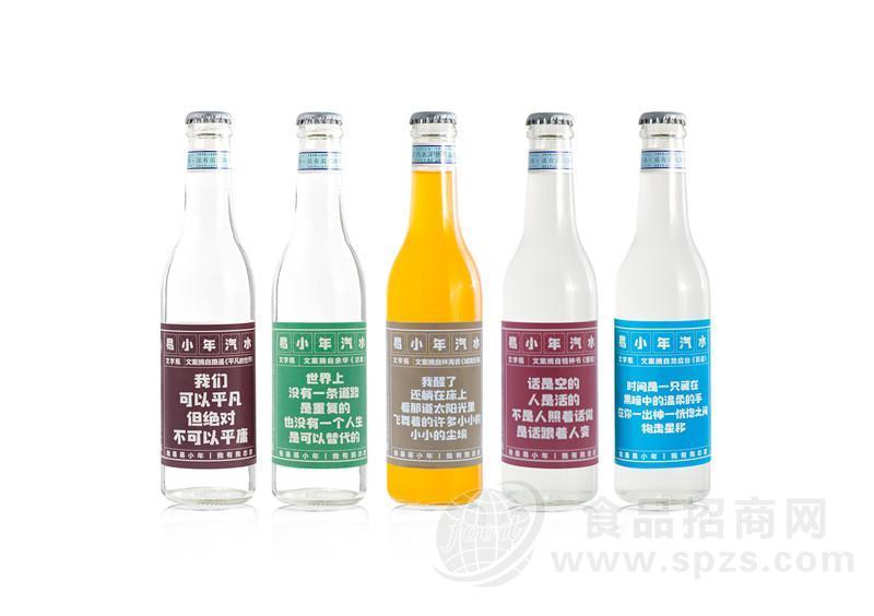 易小年汽水集锦 玻璃瓶汽水
