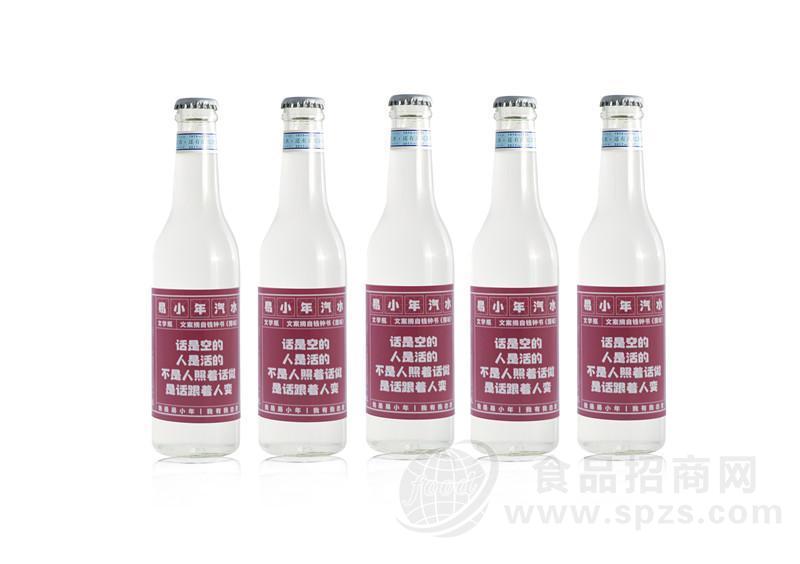 易小年荔枝汽水 