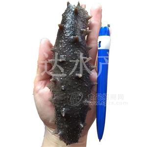 大連廠家直銷(xiāo) 微達(dá)海參 純淡干 肉質(zhì)鮮美 精品包裝 500g一件代發(fā)招商