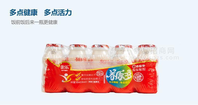 养元多乳酸菌