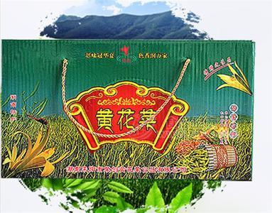 農(nóng)家美味黃花菜 有機(jī)干黃花菜 曬干脫水黃花菜禮盒1KG