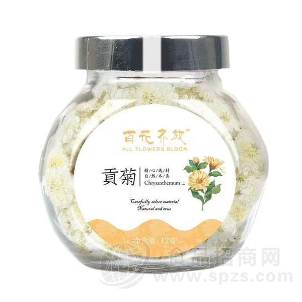 百花齐放贡菊花茶12g