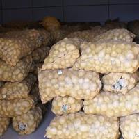 食品保鲜库-食品速冻库-优质冷库价格