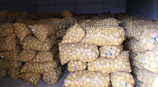 食品保鲜库-食品速冻库-优质冷库价格